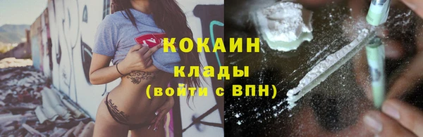 дмт Абаза
