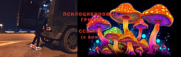 твердый Алзамай