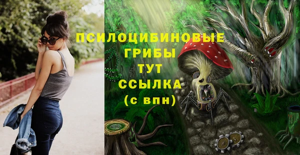 твердый Алзамай