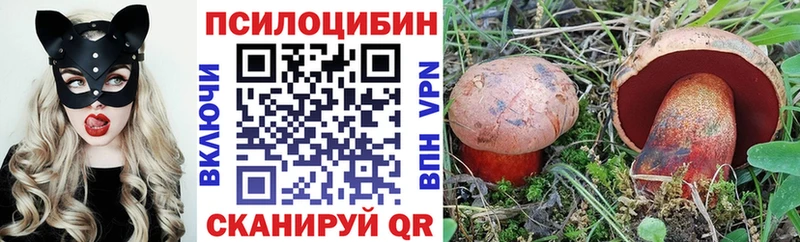 OMG вход  даркнет клад  Псилоцибиновые грибы Psilocybe  Новочеркасск 